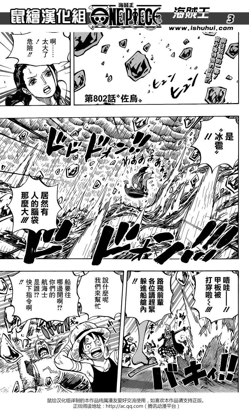 海贼王802话 佐鸟