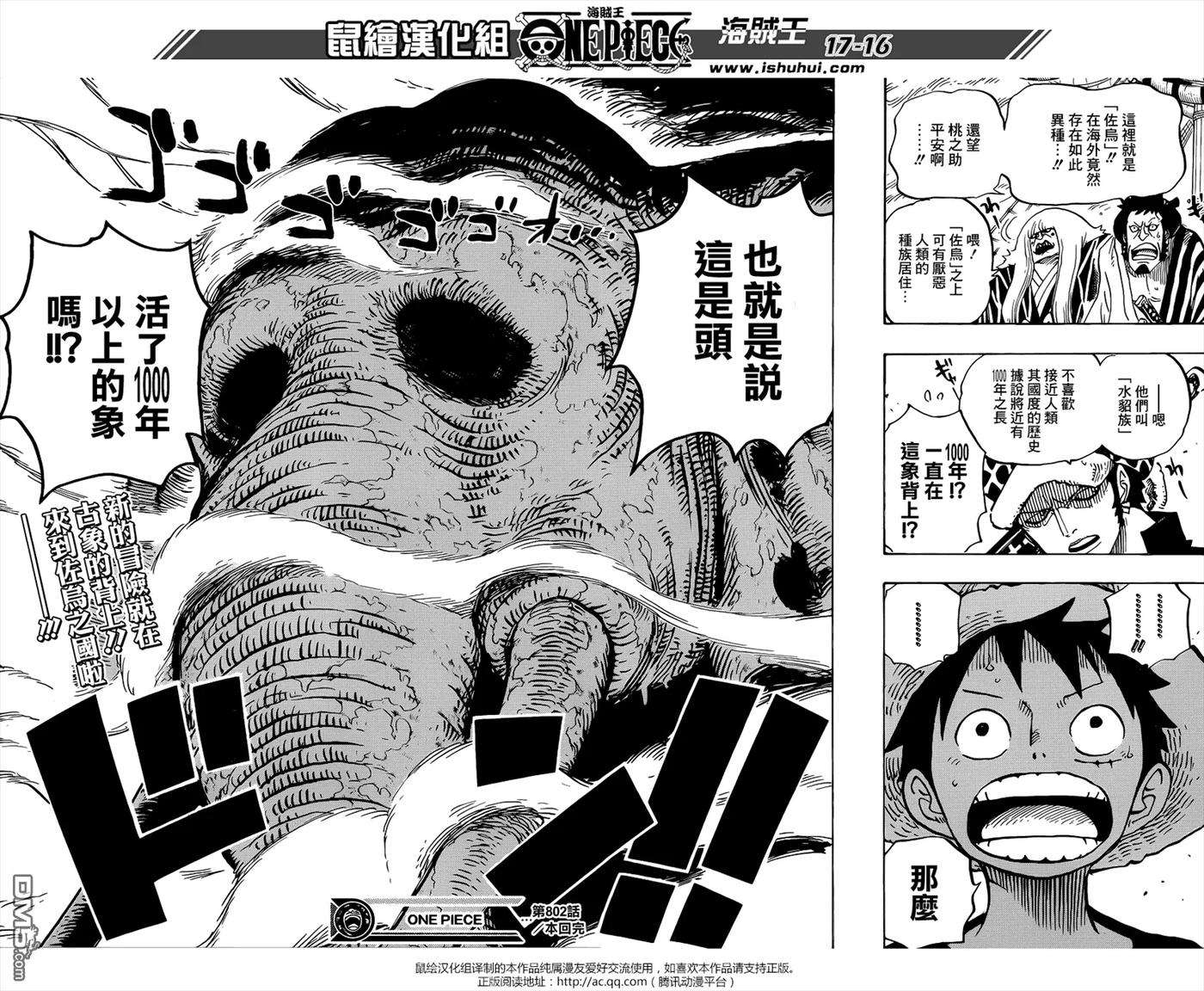 海贼王802话 佐鸟