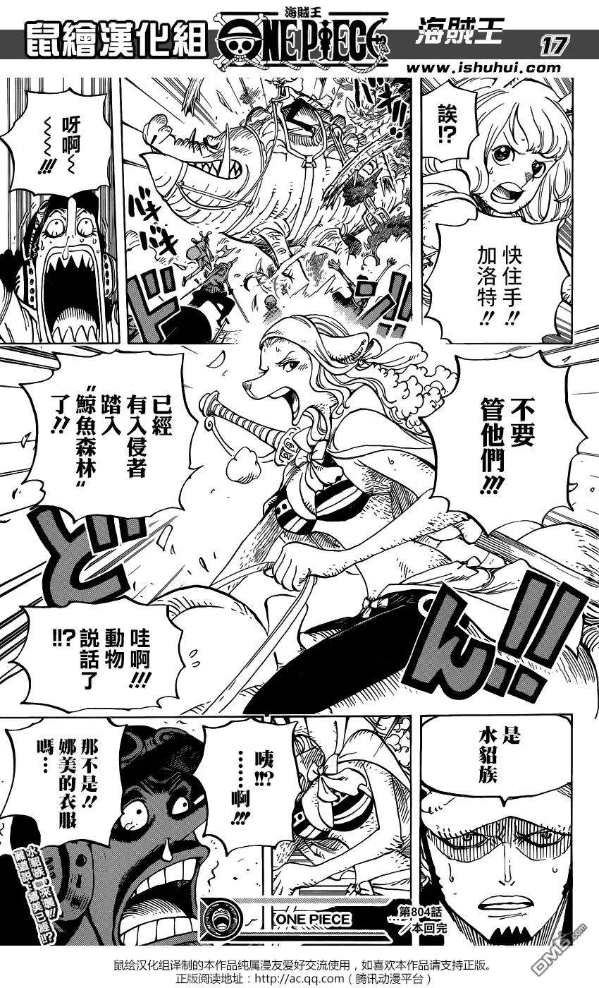 海贼王804话 象背之国的冒险