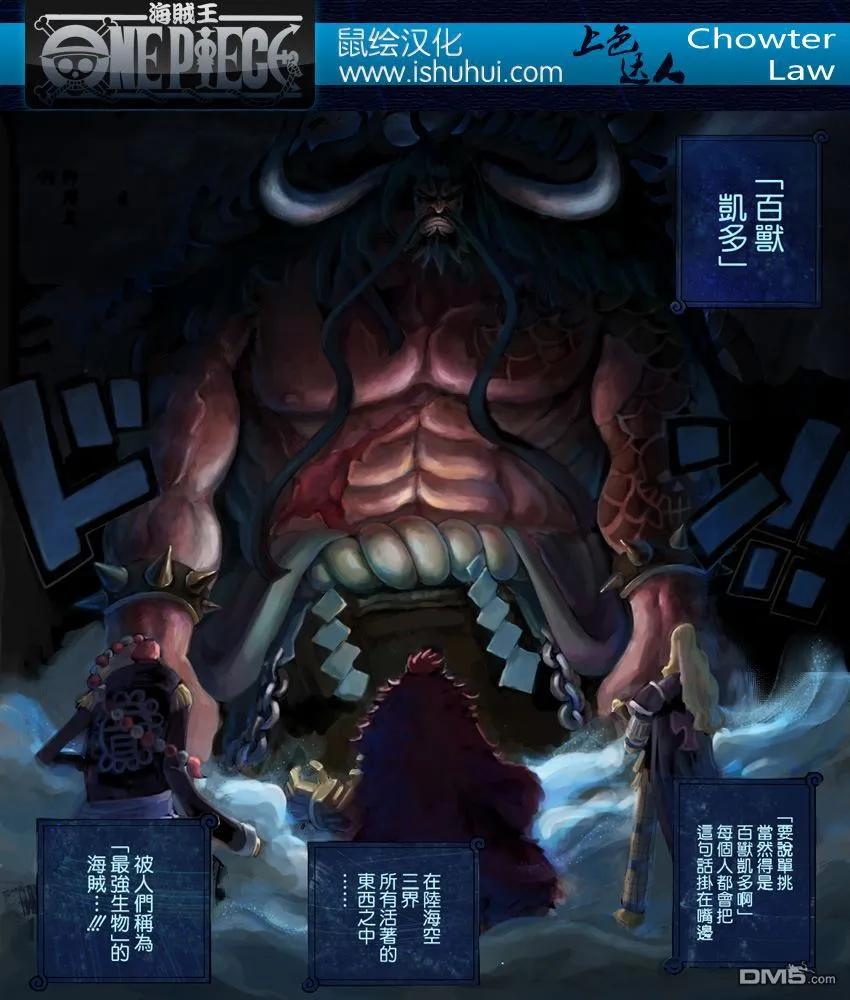 海贼王804话 象背之国的冒险