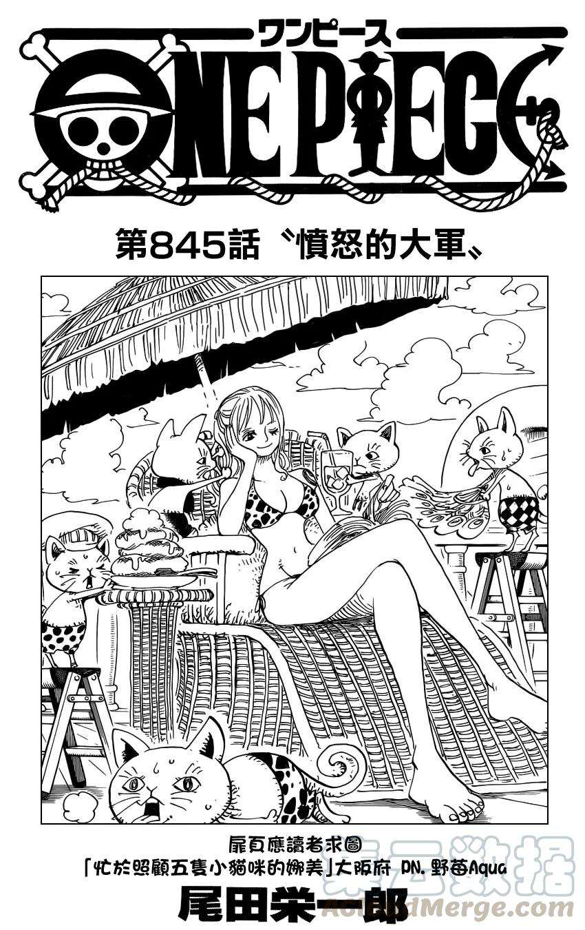 海贼王845话 愤怒的大军