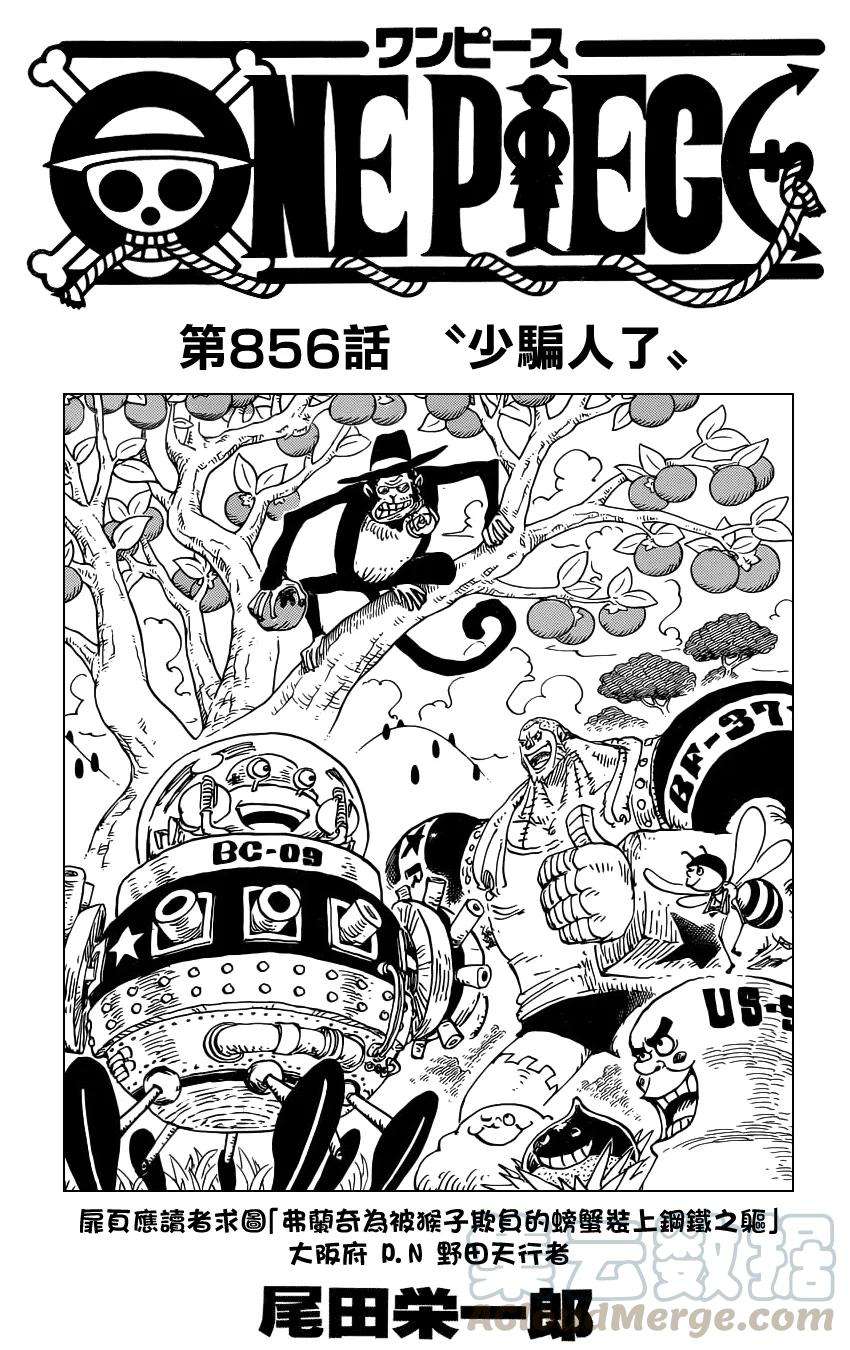 海贼王856话 少骗人了
