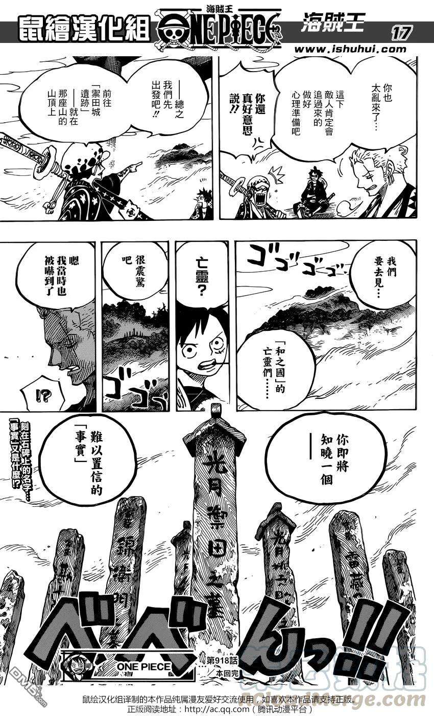 海贼王918话 路飞太郎的报恩