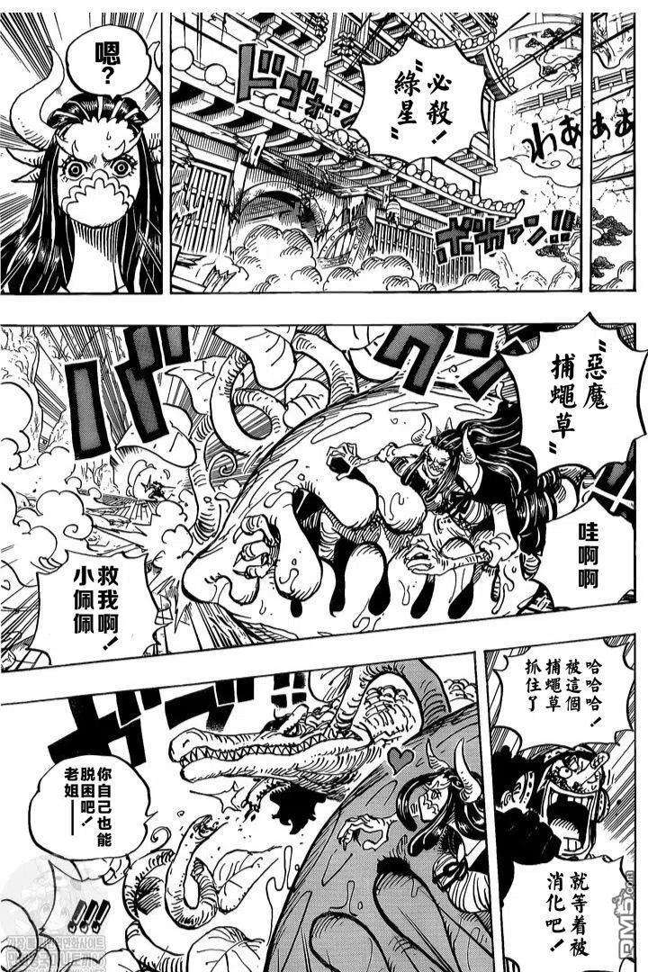 海贼王995话 女忍的誓言