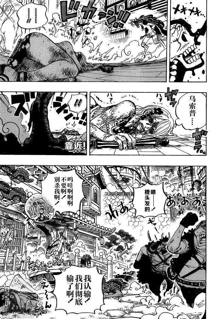 海贼王995话 女忍的誓言