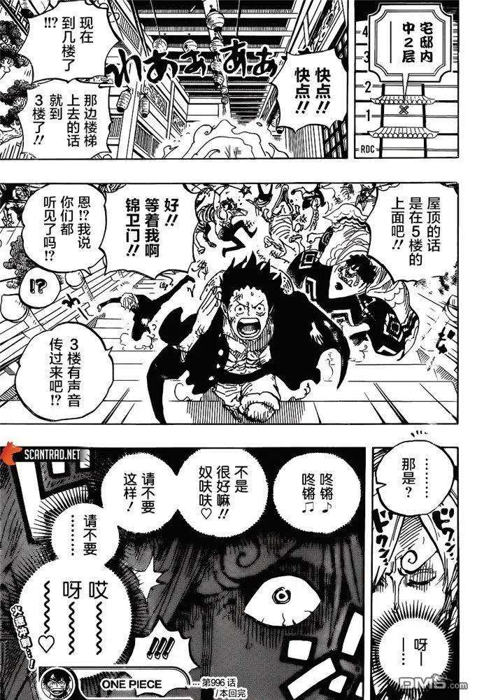 海贼王996话 最强者栖息之岛