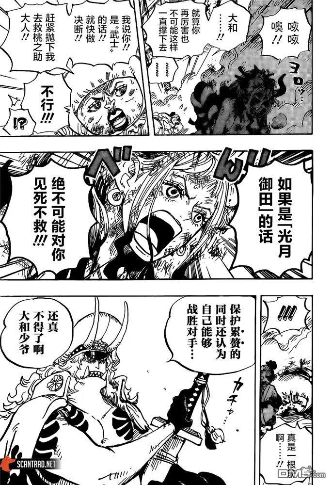 海贼王996话 最强者栖息之岛