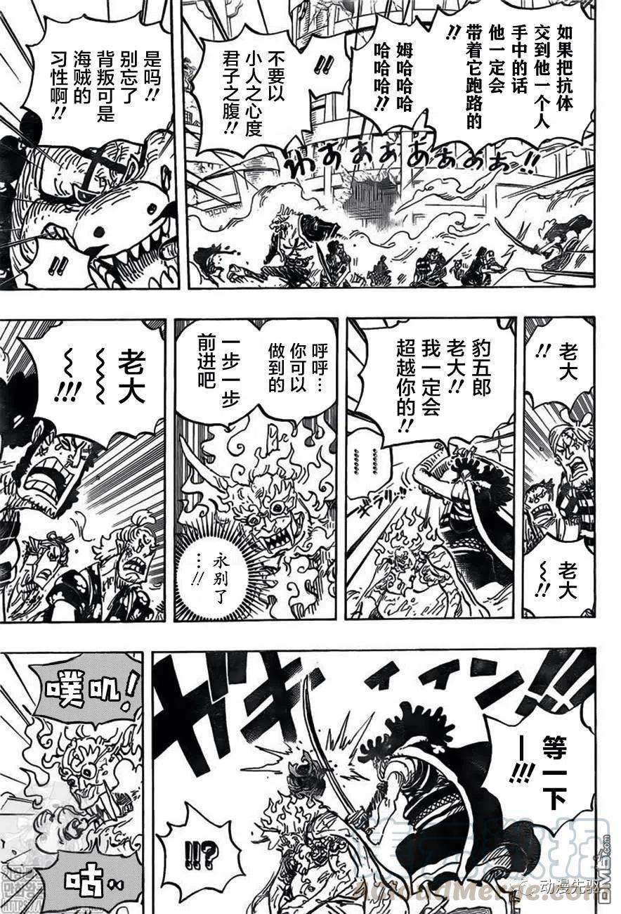 海贼王1007话 狸猫先生