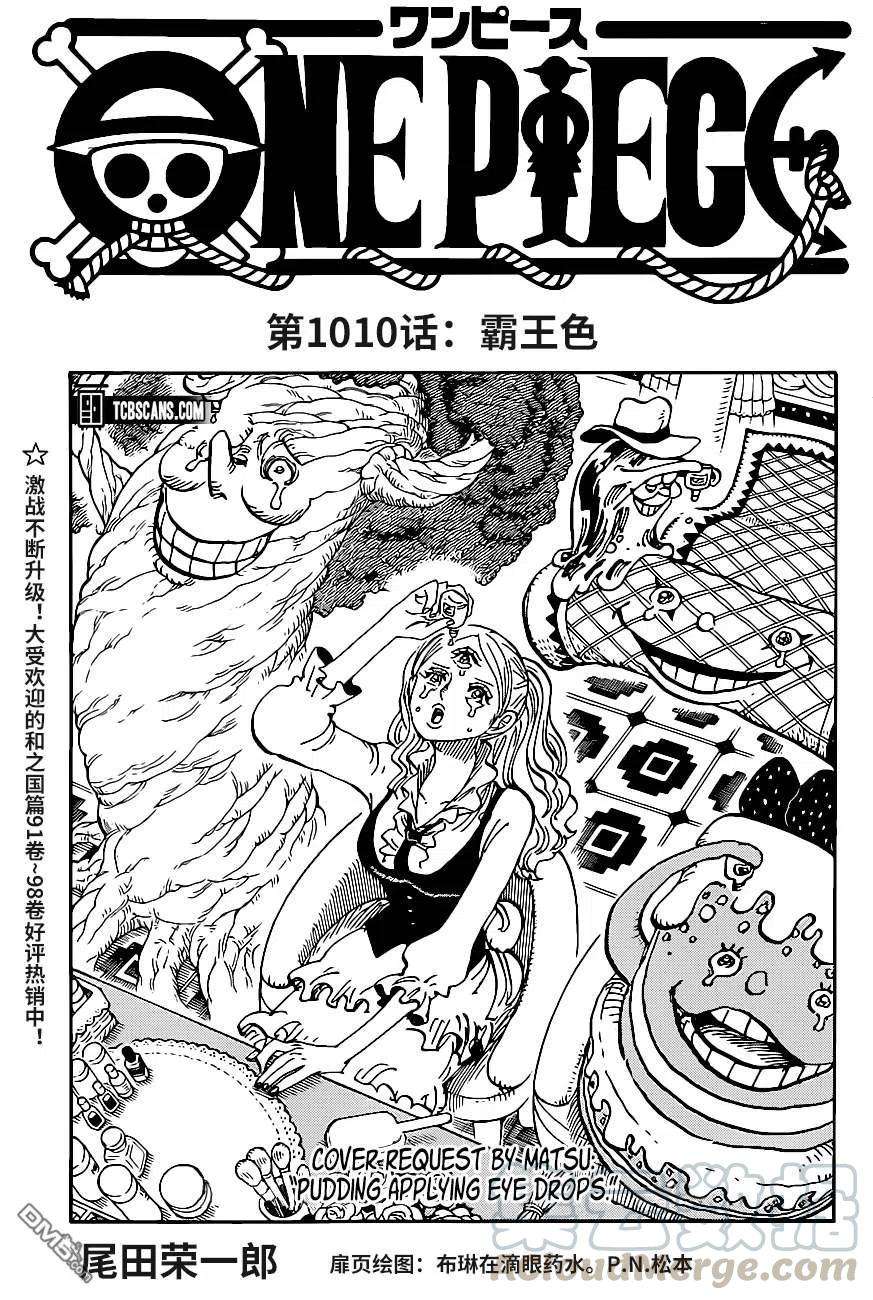 海贼王1010话 霸王色