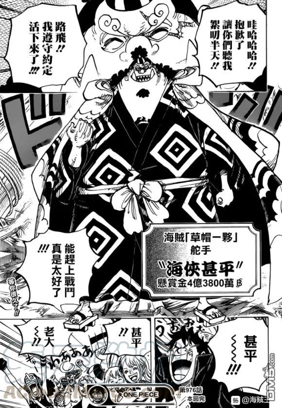 海贼王976话 请指教
