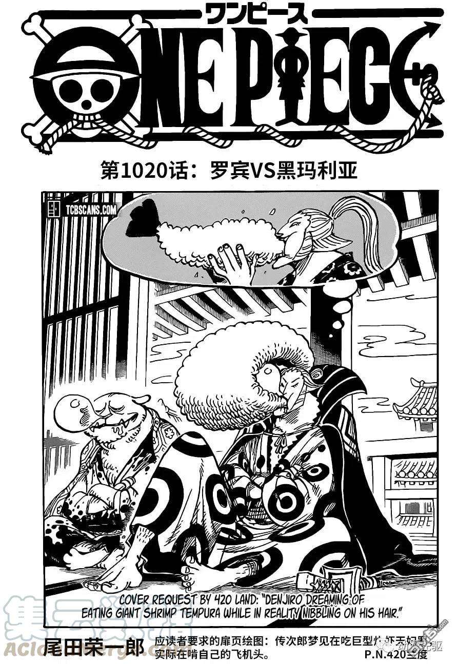 海贼王1020话 罗宾VS黑玛利亚