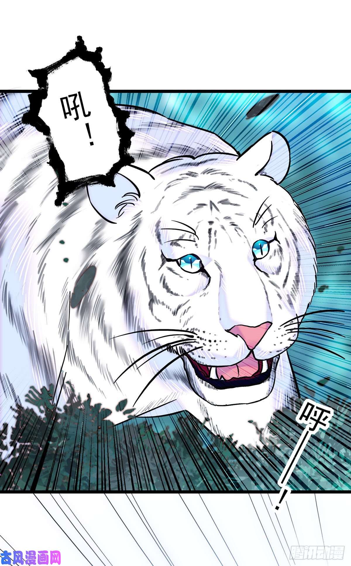 萌动兽世03 这是，动物世界？