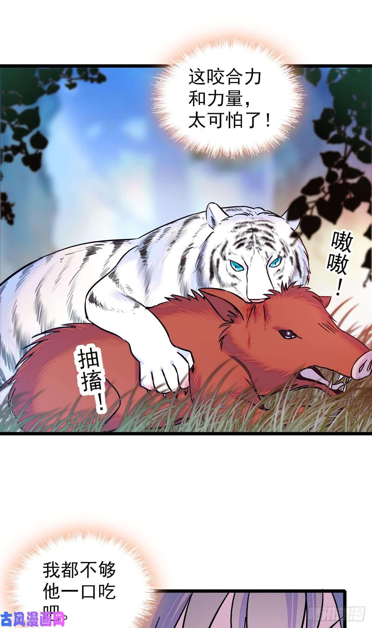 萌动兽世03 这是，动物世界？