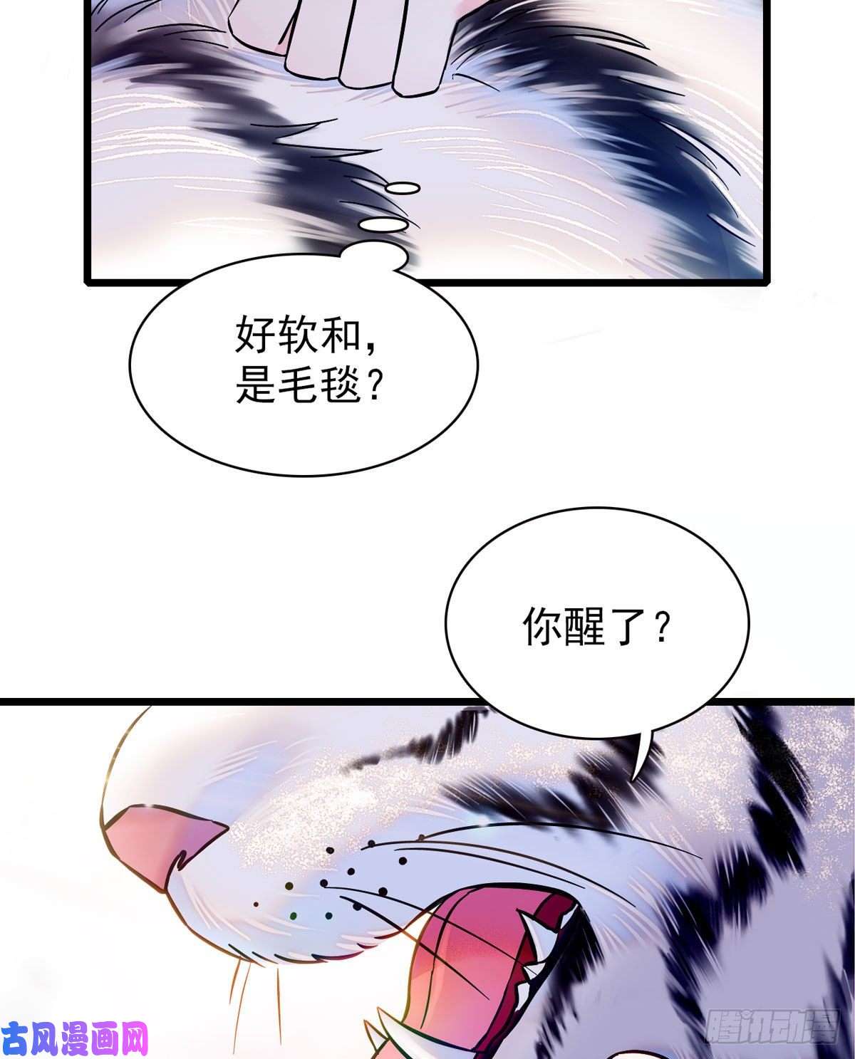 萌动兽世03 这是，动物世界？