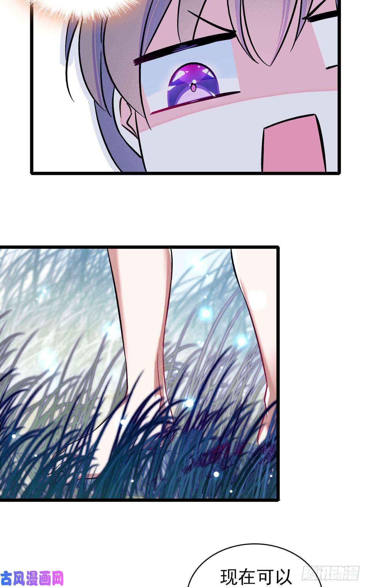 萌动兽世03 这是，动物世界？