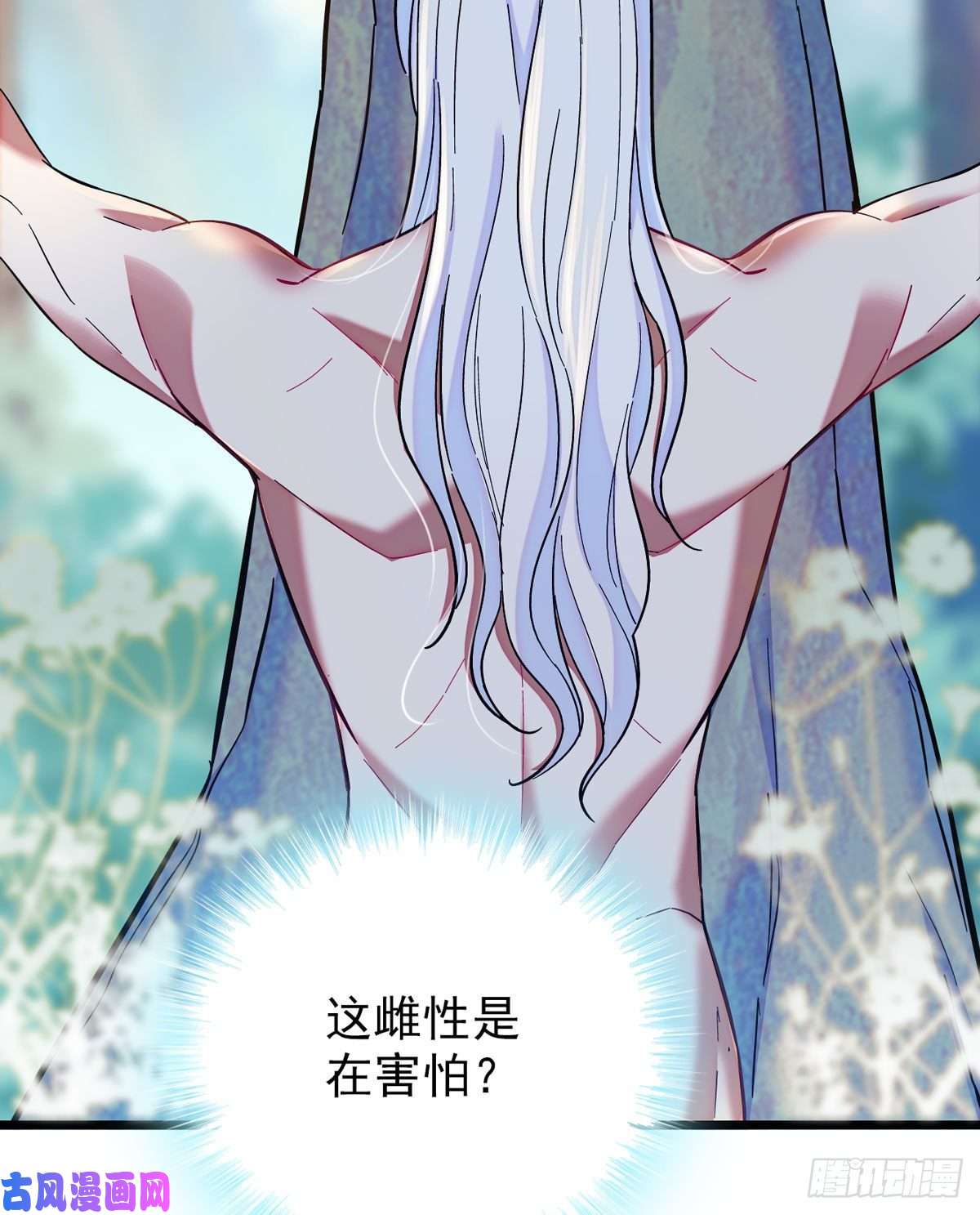 萌动兽世03 这是，动物世界？