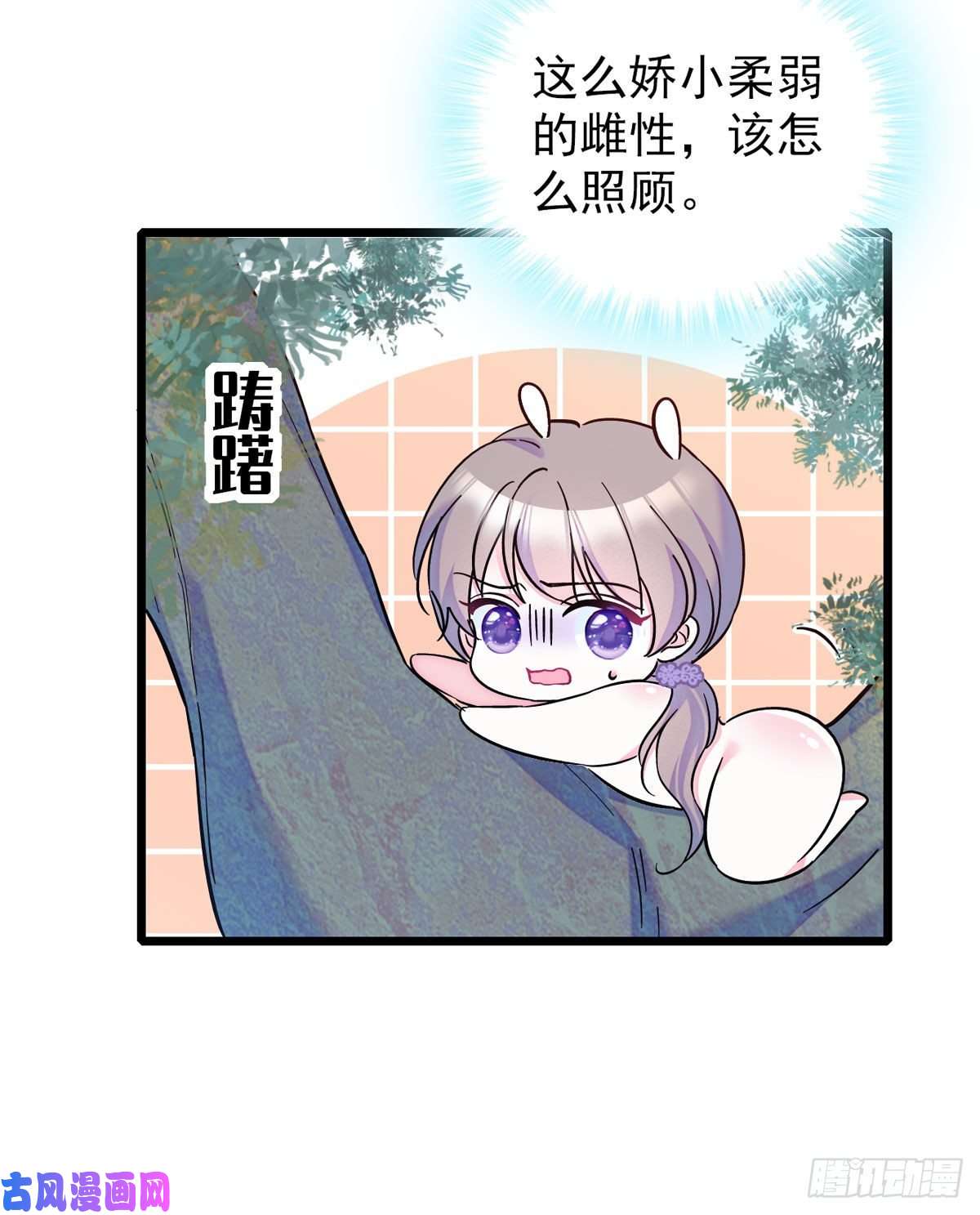 萌动兽世03 这是，动物世界？