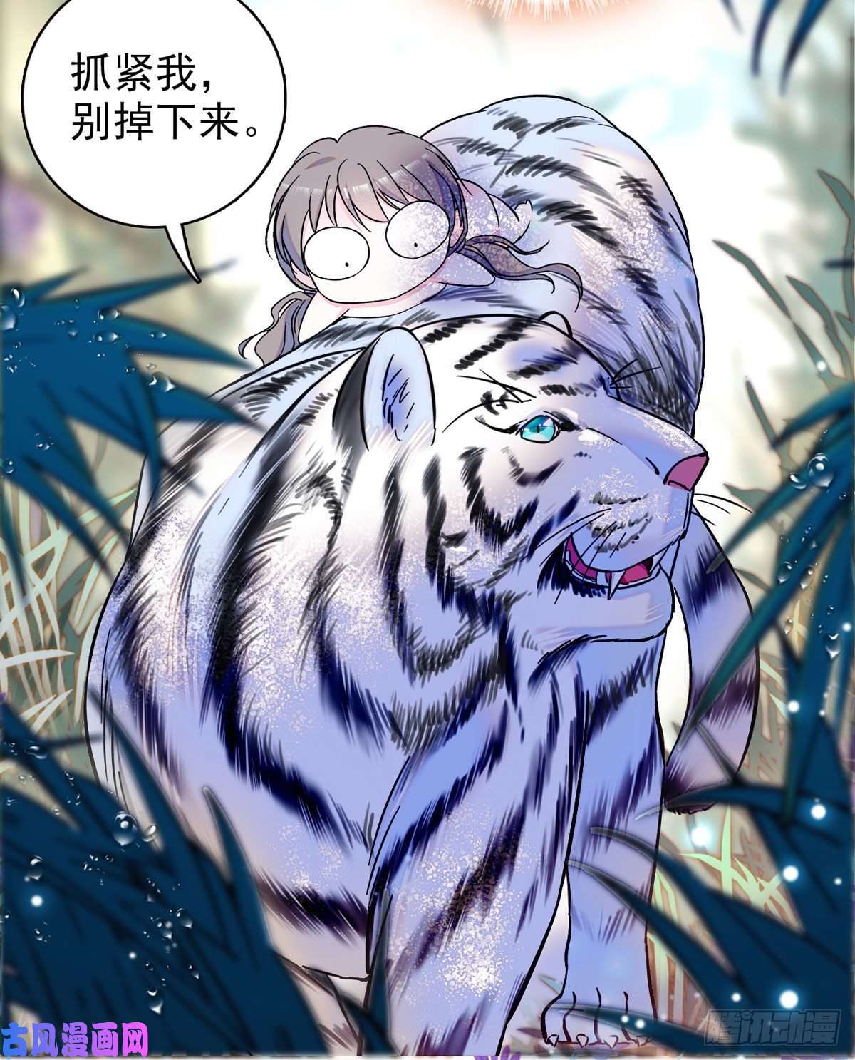 萌动兽世03 这是，动物世界？