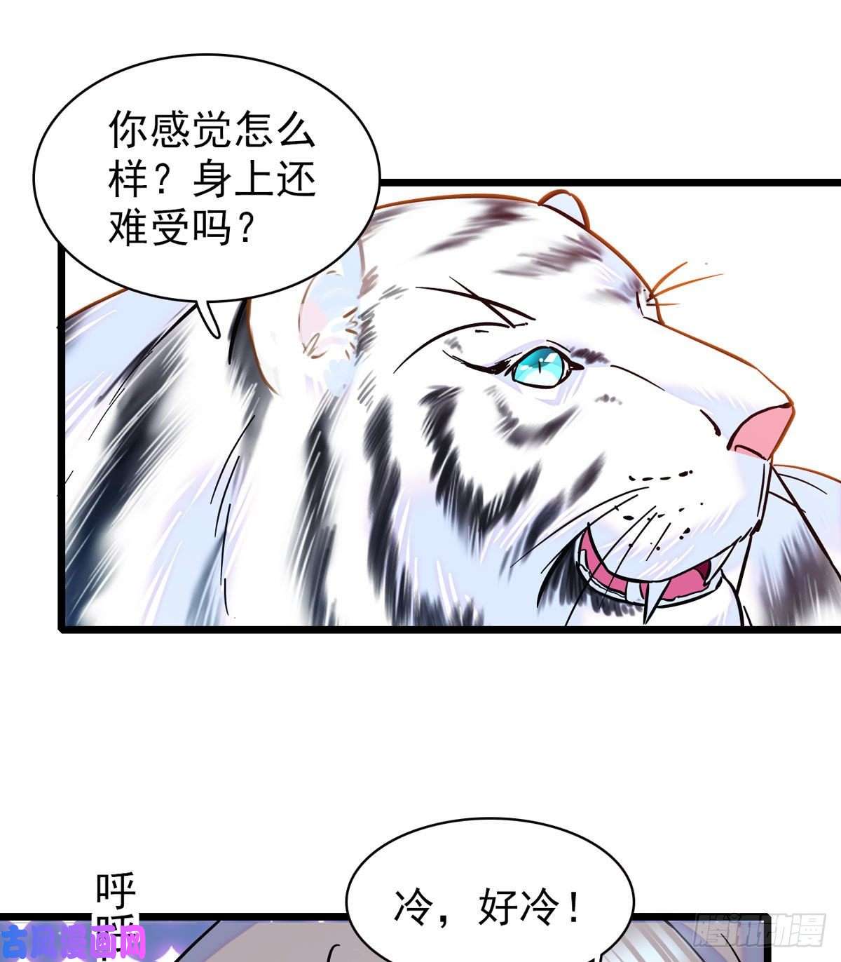 萌动兽世03 这是，动物世界？