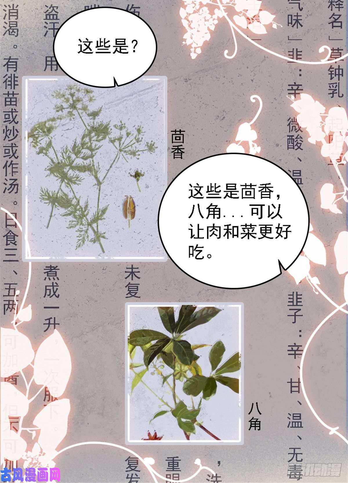 萌动兽世23 木香