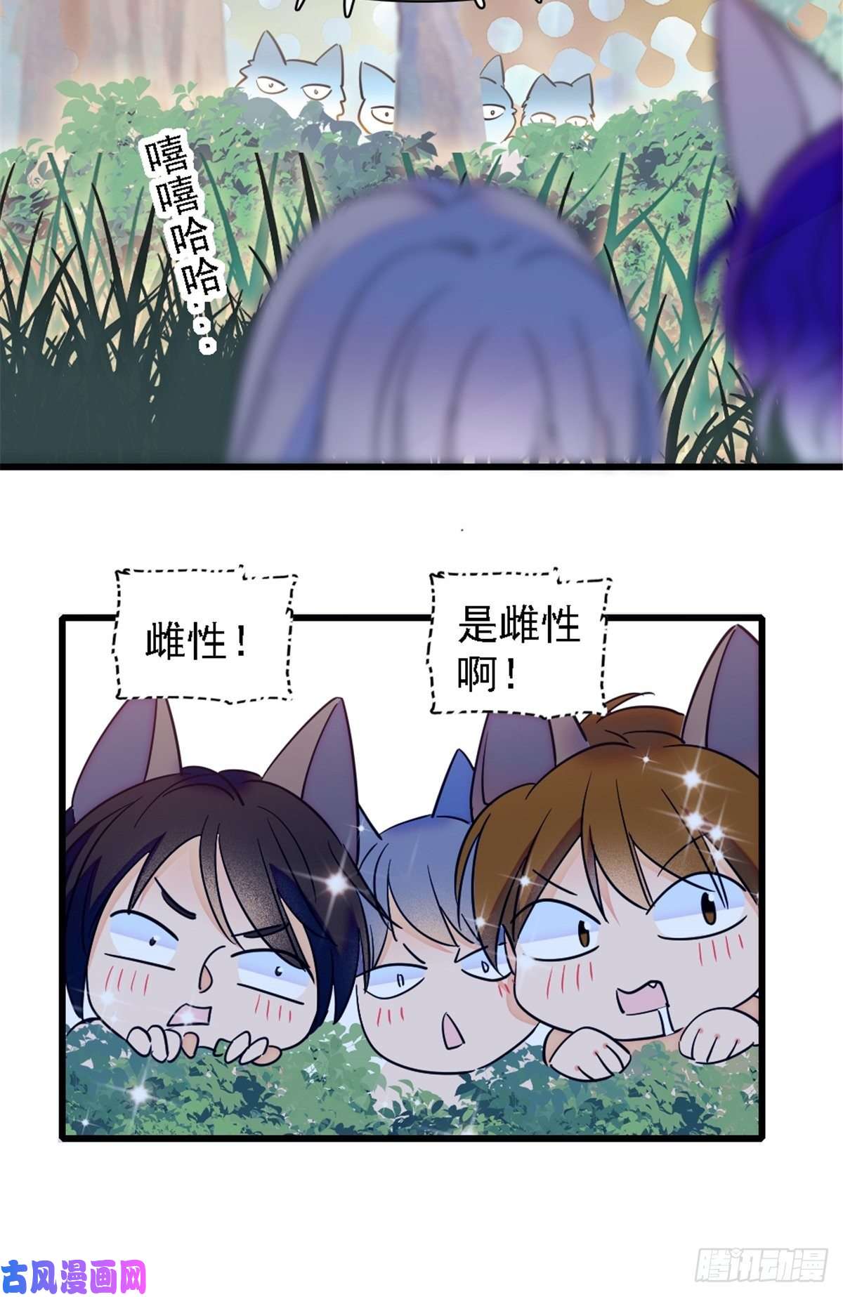 萌动兽世24 有趣的反应