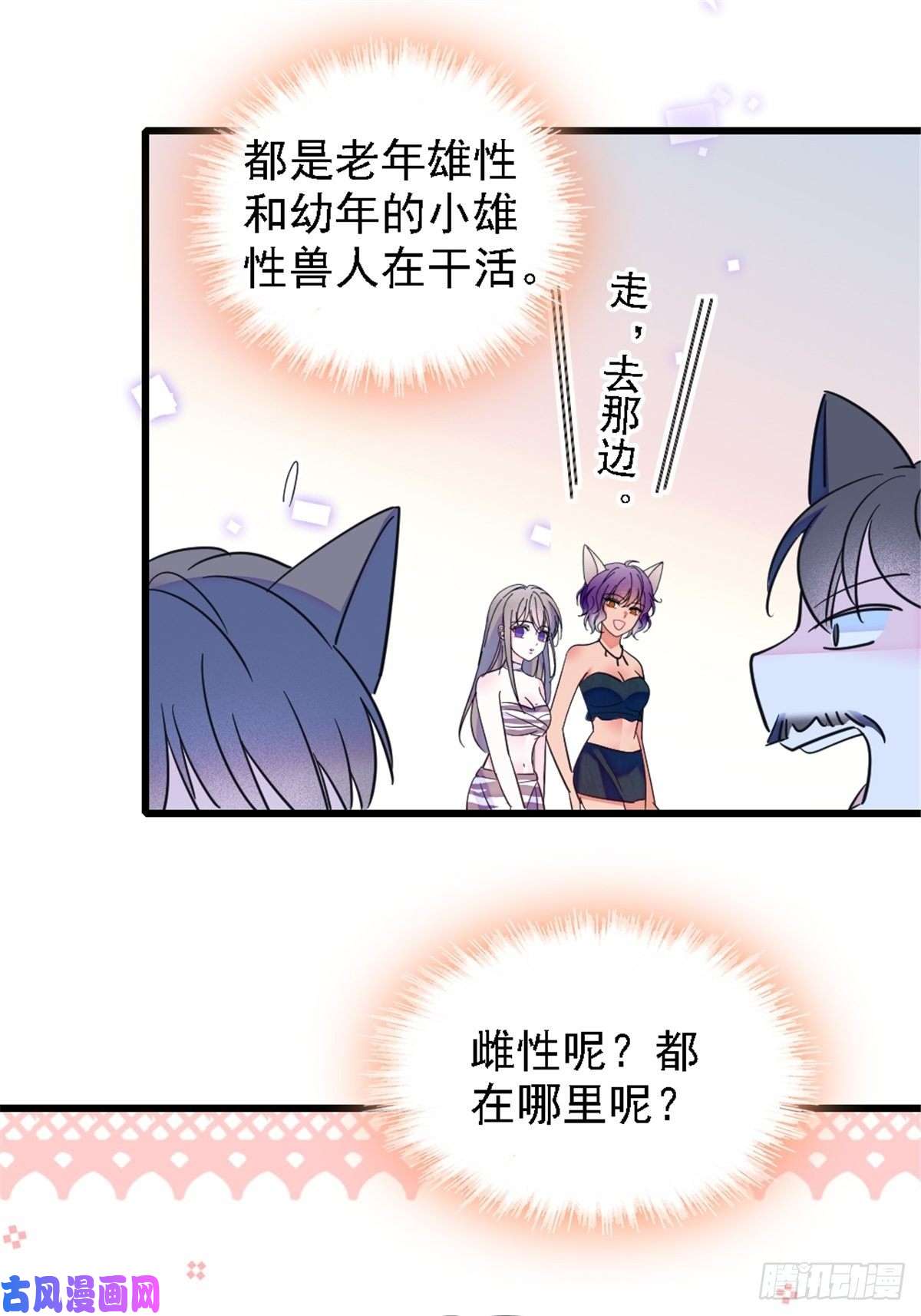 萌动兽世24 有趣的反应