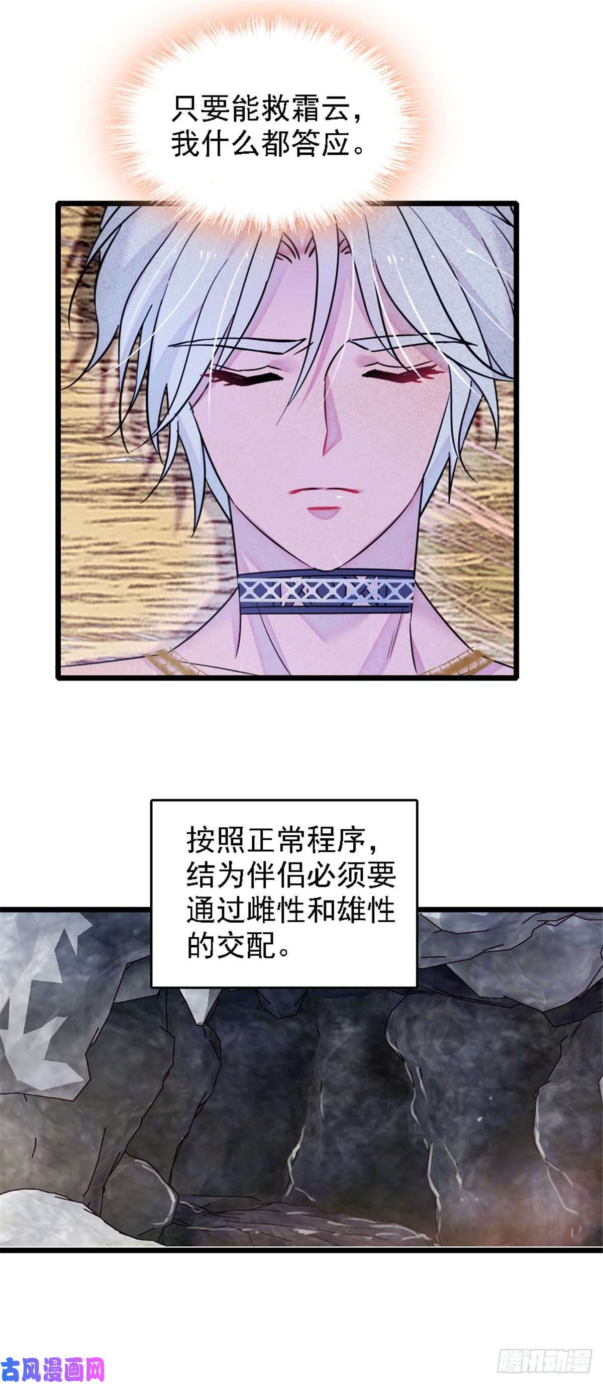 萌动兽世38 结侣仪式