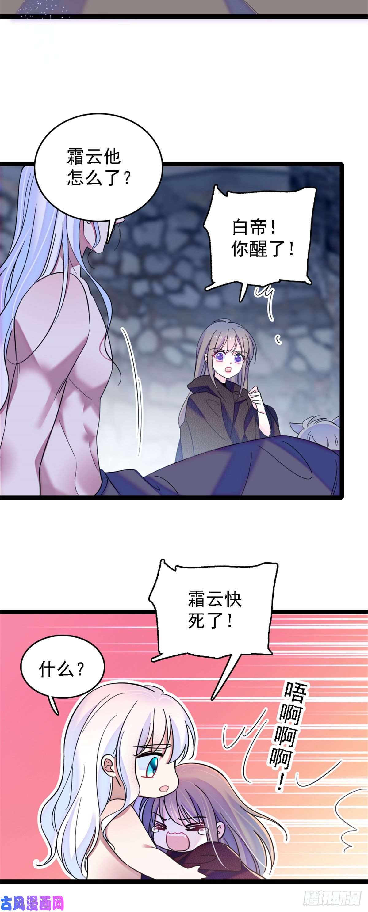 萌动兽世38 结侣仪式