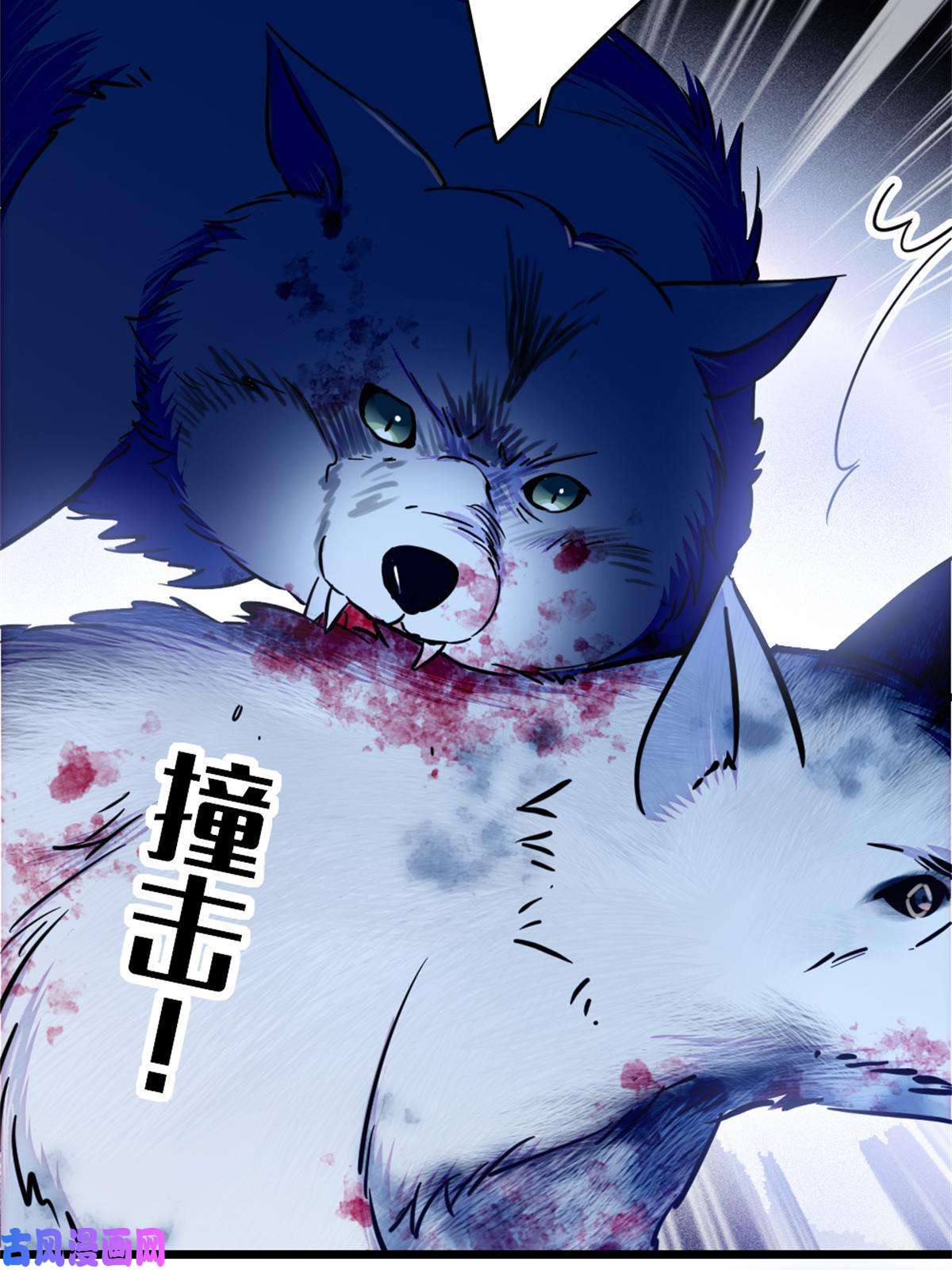 萌动兽世53 岩石狼族没有懦夫