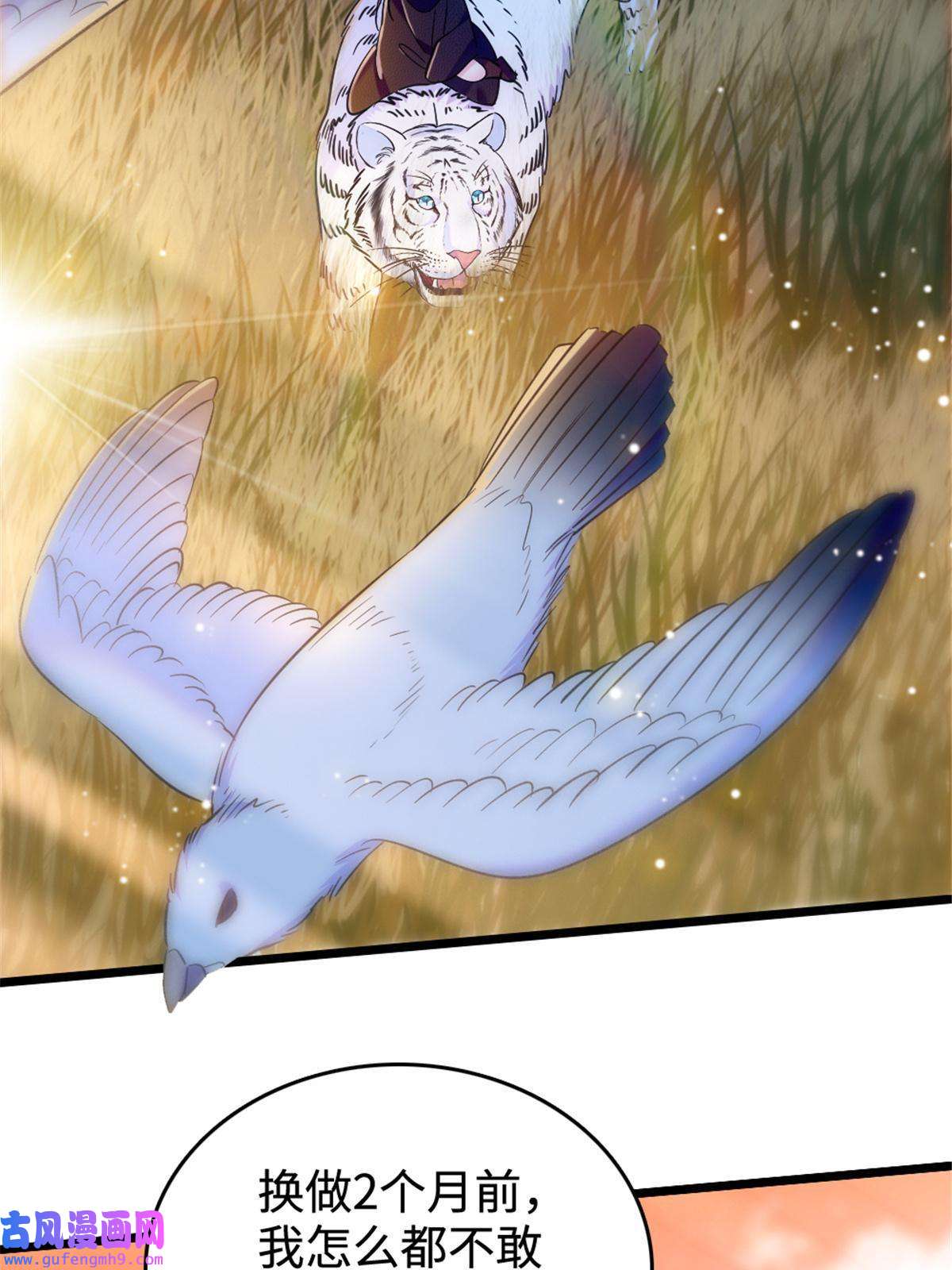 萌动兽世80 角落里的守护者