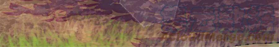 萌动兽世84 缓缓的肉和菜