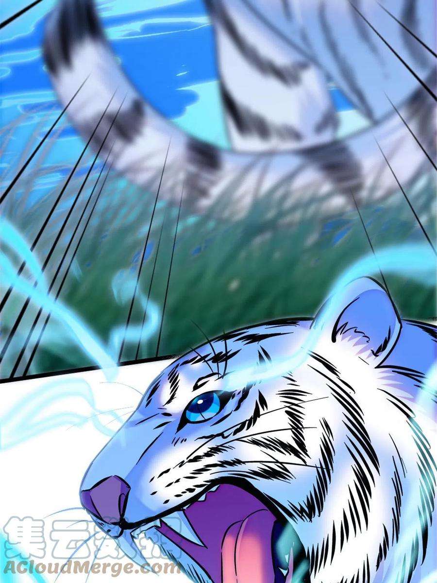 萌动兽世91 暗夜神使