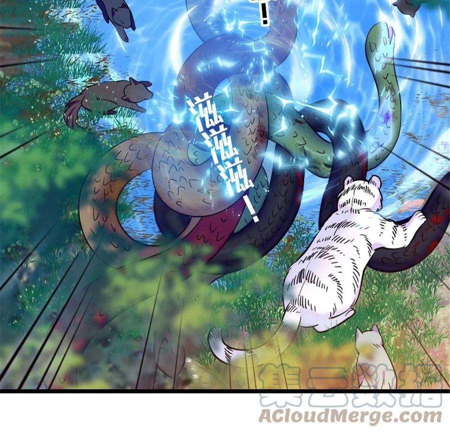 萌动兽世91 暗夜神使