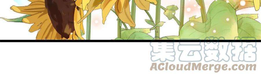 萌动兽世95 植物大战兽人