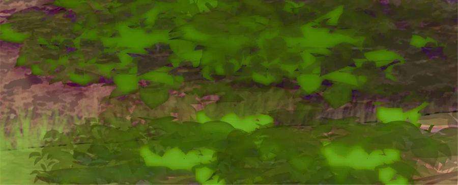 萌动兽世96 布防