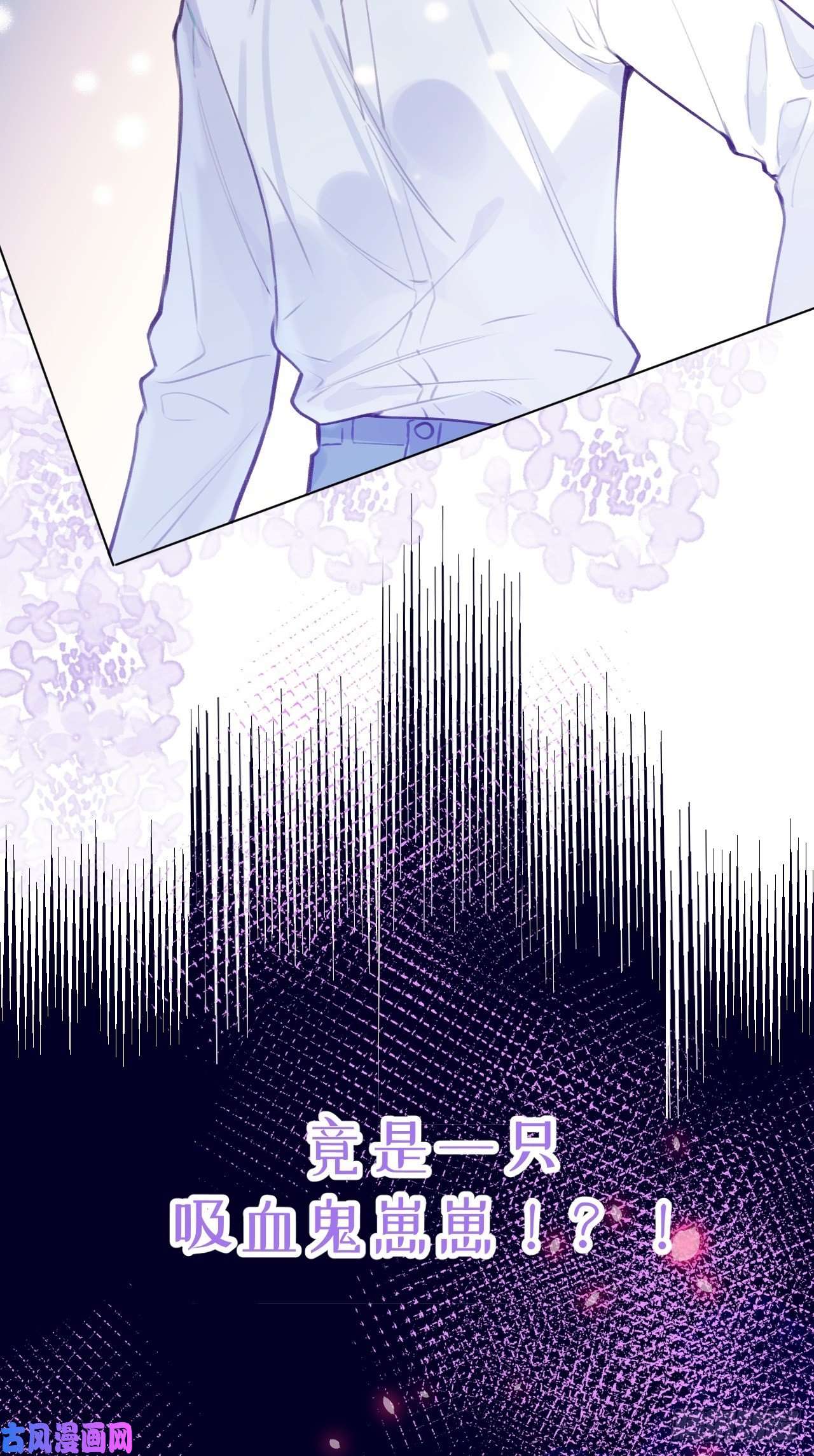 就咬一口，球球了预告