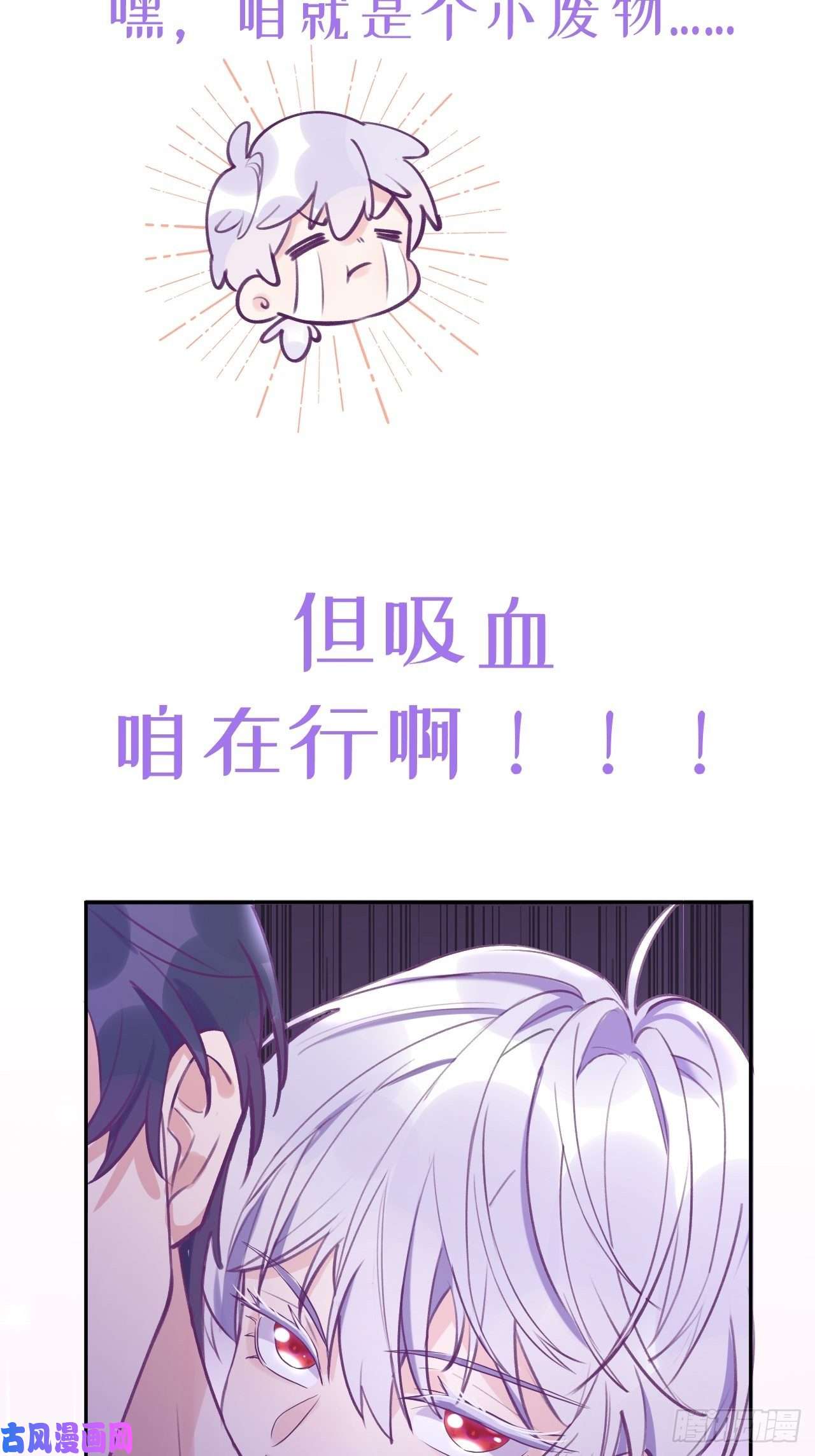 就咬一口，球球了预告