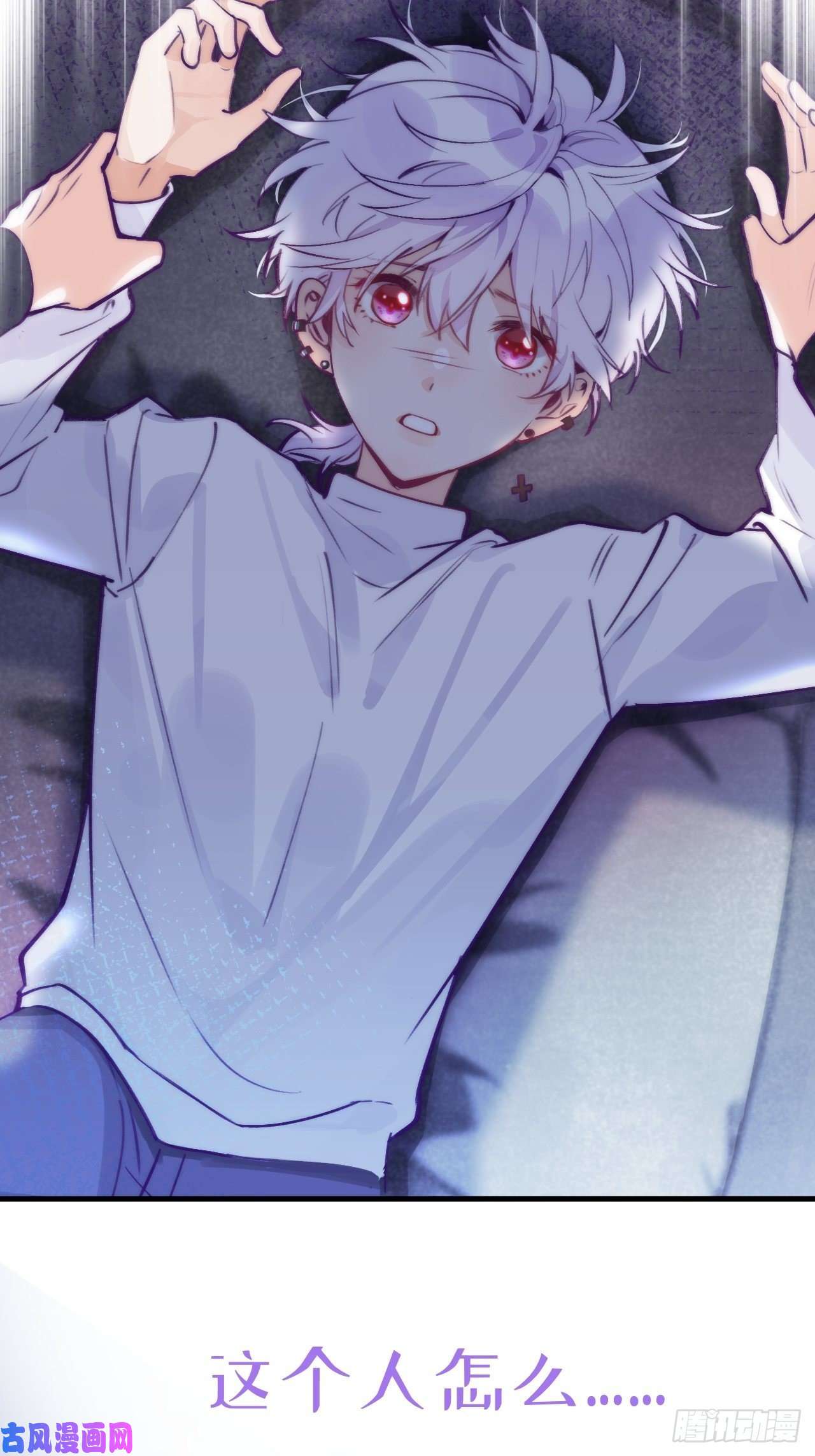 就咬一口，球球了预告