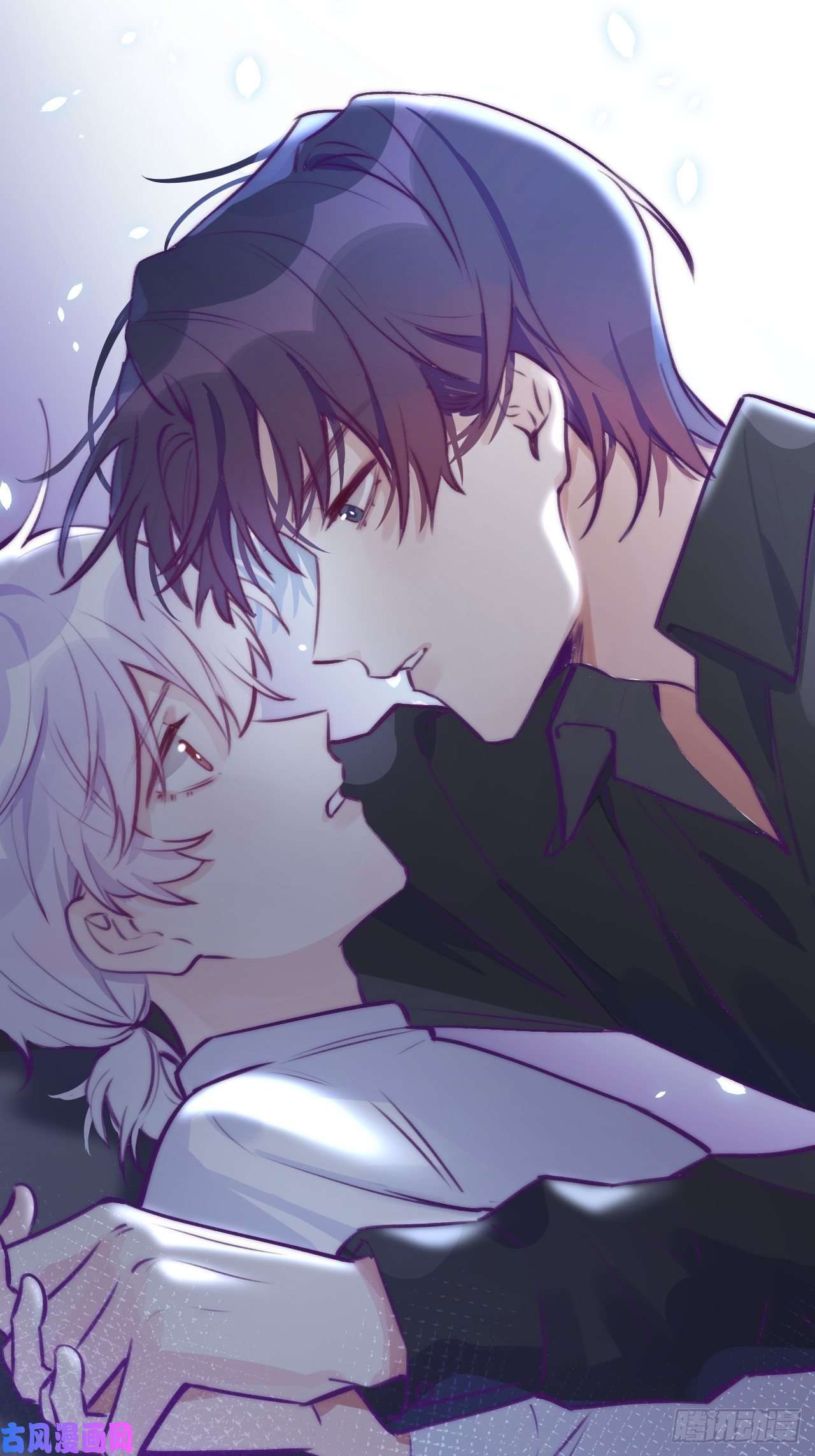 就咬一口，球球了预告