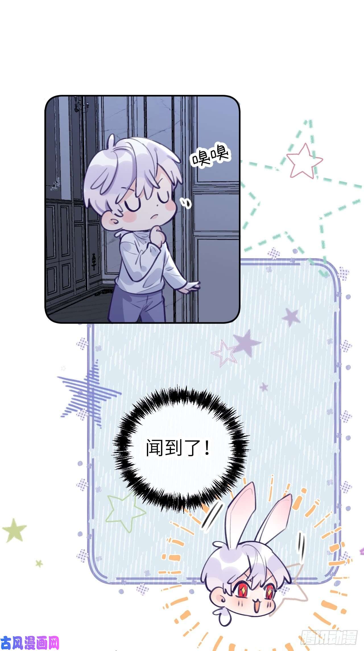 就咬一口，球球了第2话 就咬一口