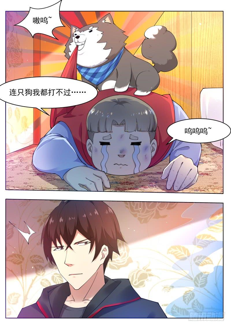 最强神王80话 不如小哈