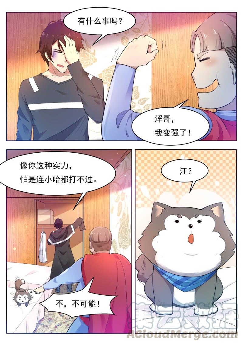 最强神王80话 不如小哈