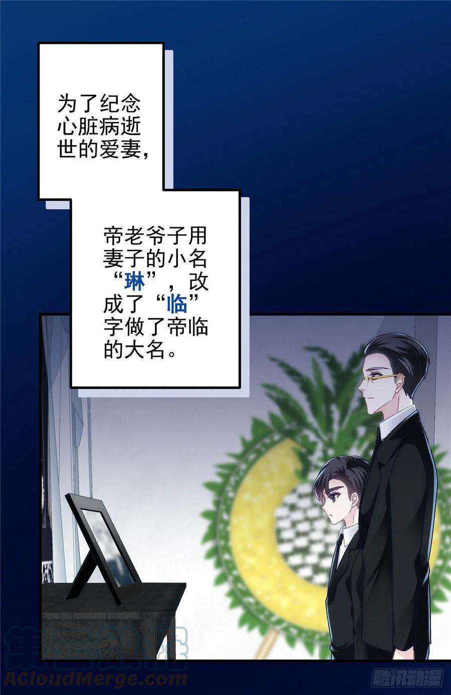 大佬的心肝穿回来了066 携手白头的爱情