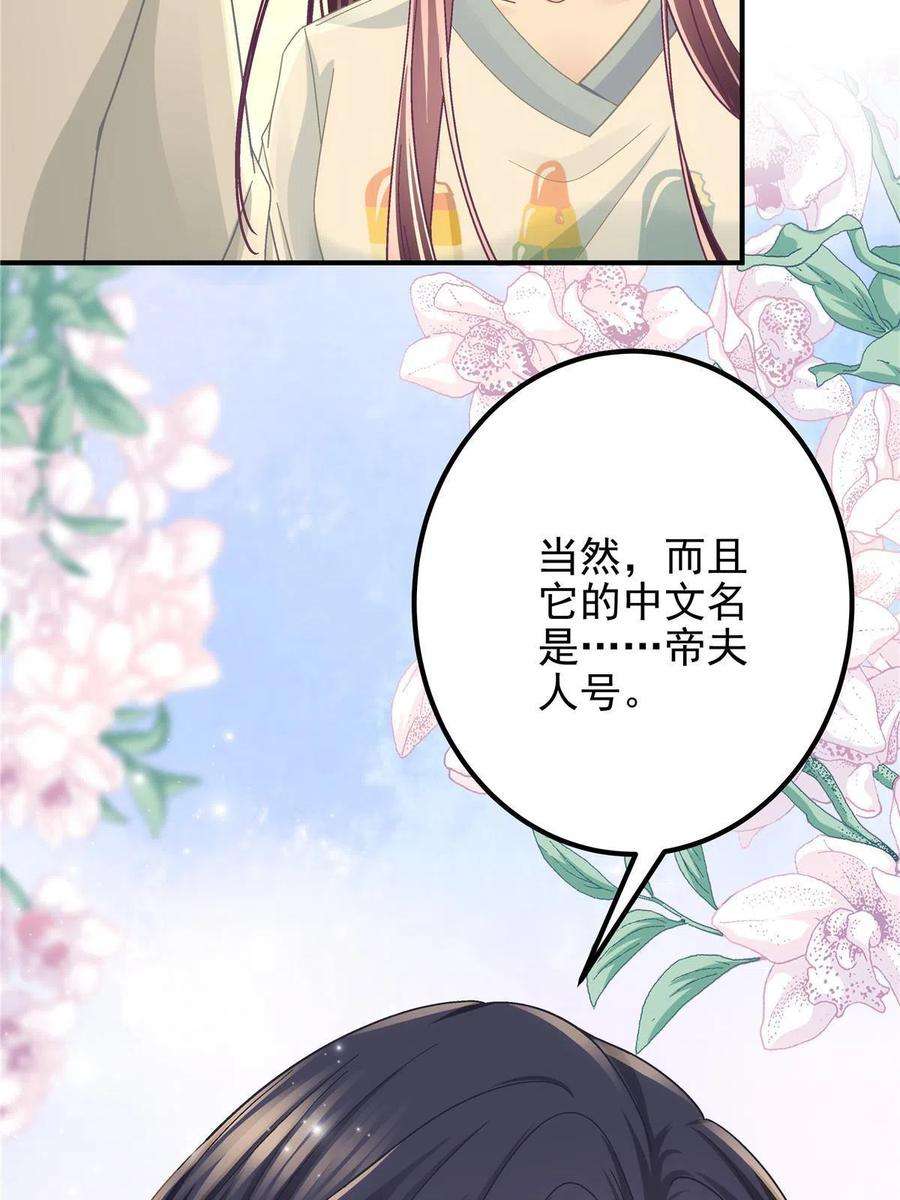大佬的心肝穿回来了108 你就是传奇本身