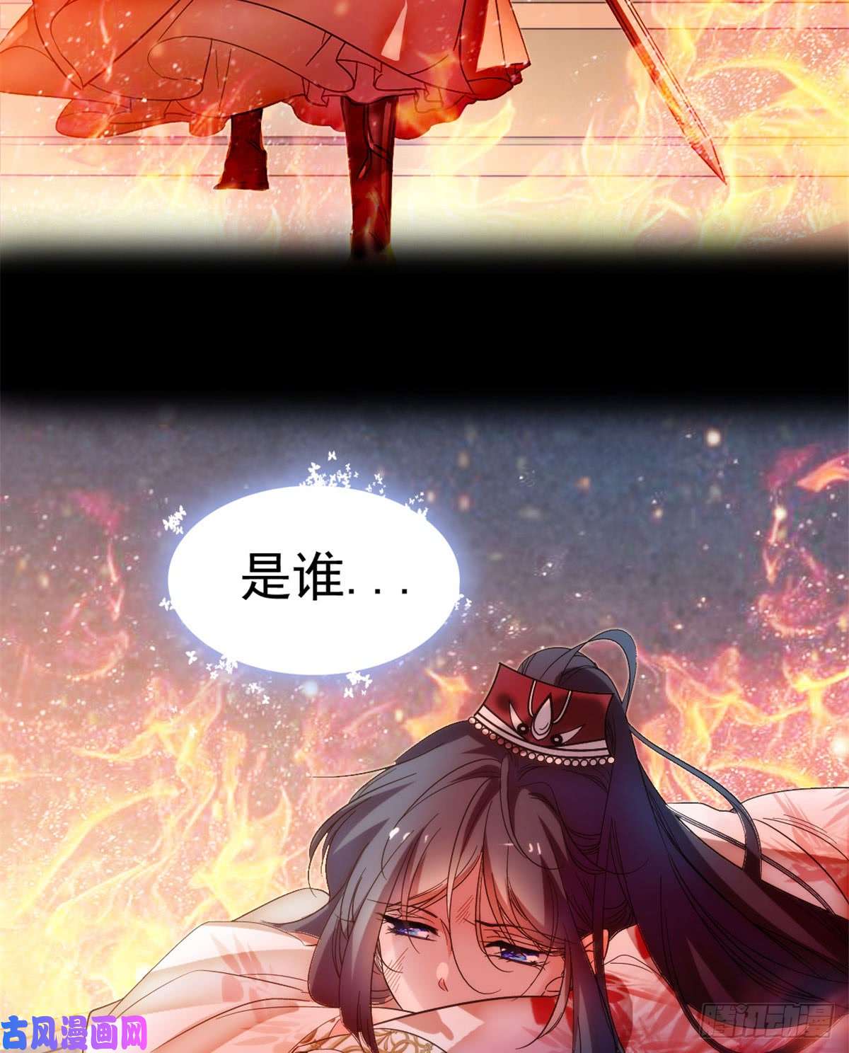 似锦预告