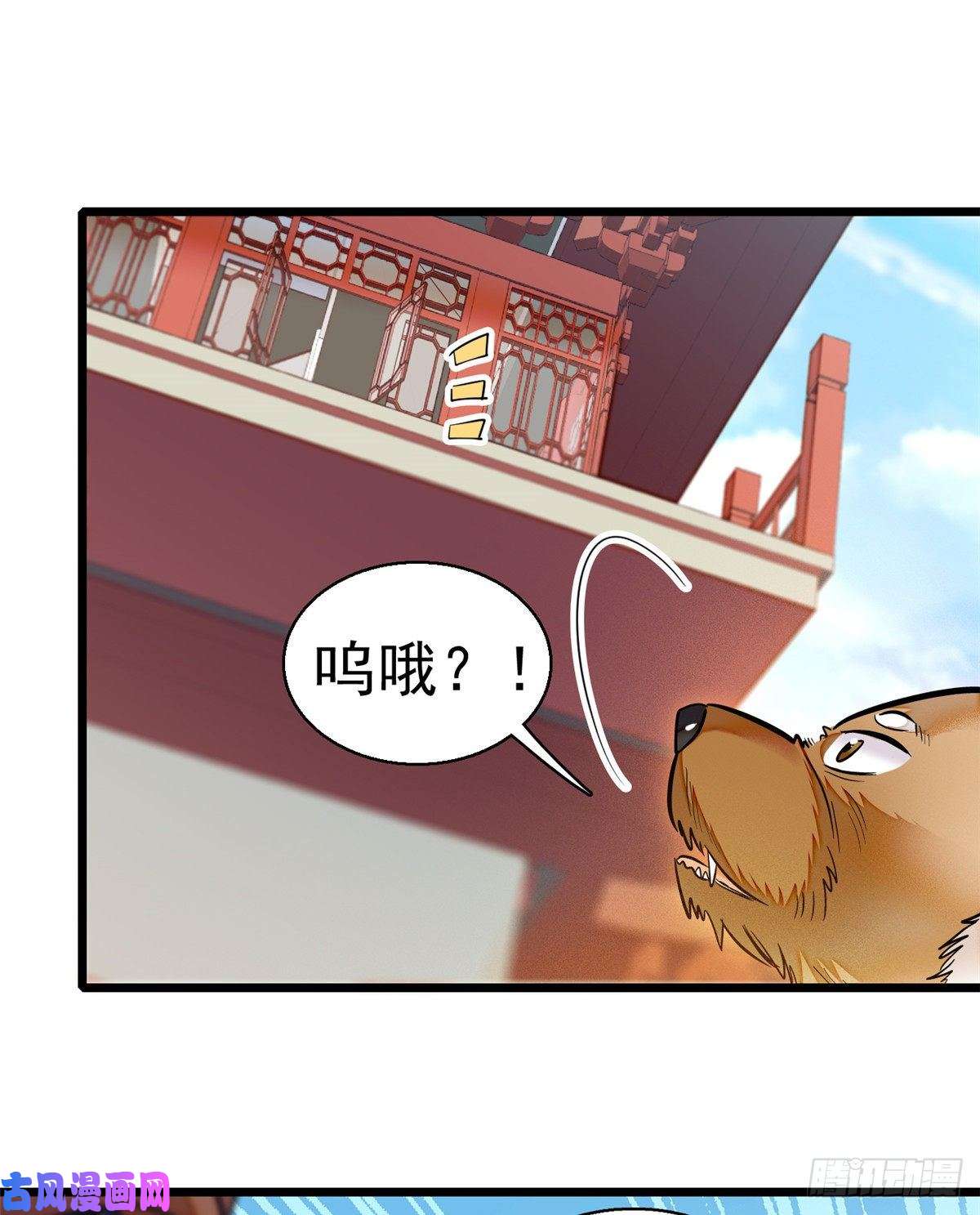 似锦第35话 连条狗都打不过