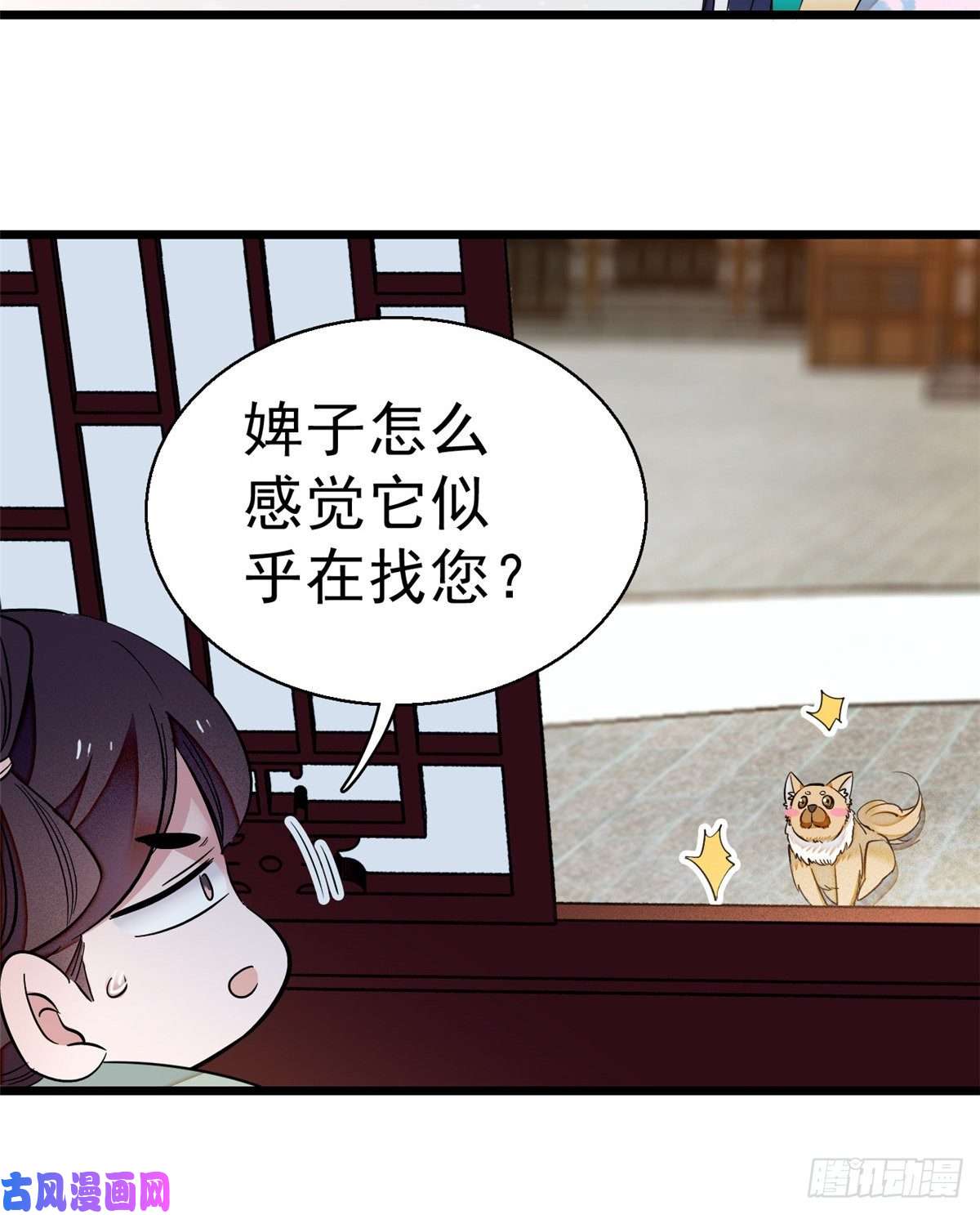 似锦第35话 连条狗都打不过
