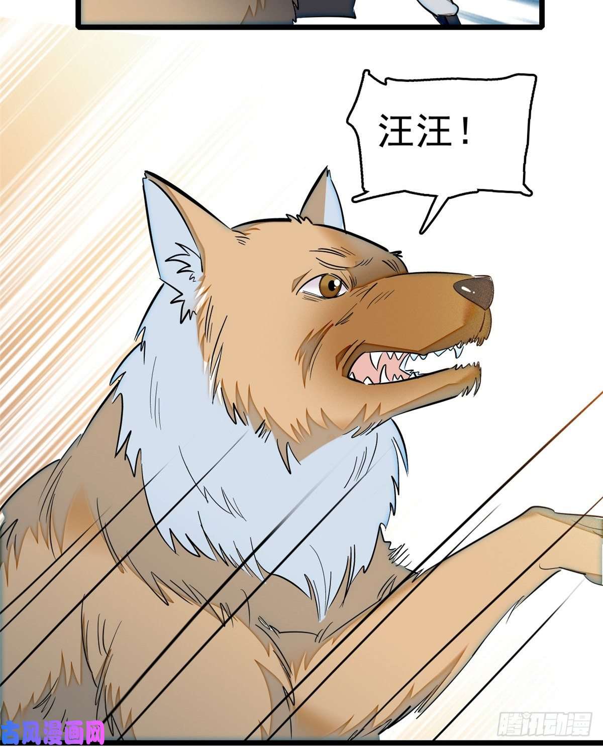 似锦第35话 连条狗都打不过