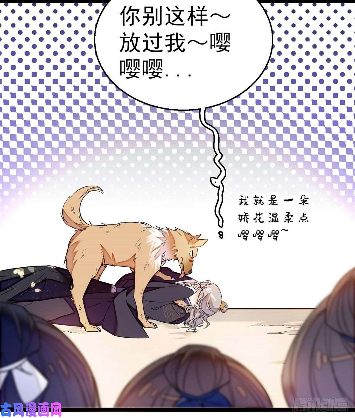 似锦第36话 谁倒霉还说不准呢