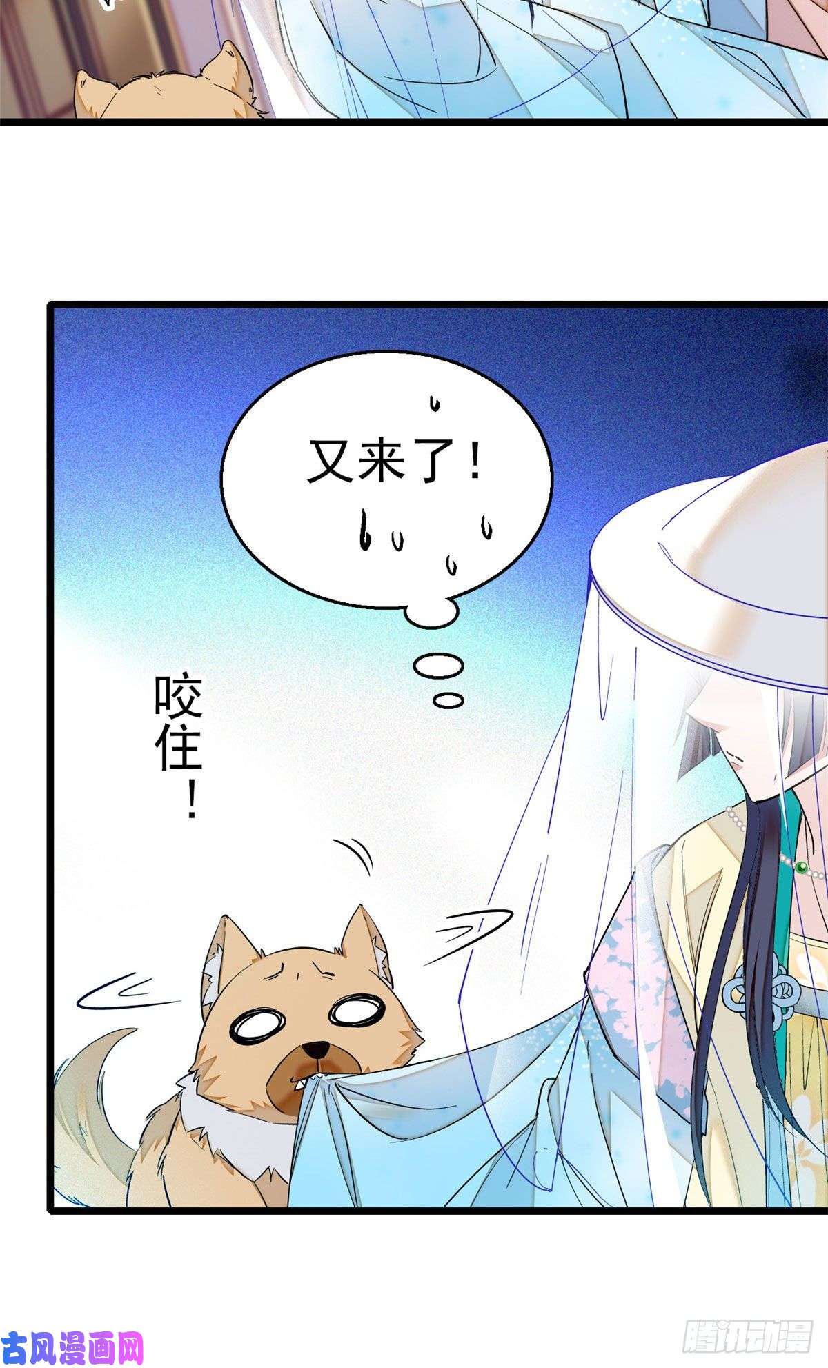 似锦第37话 厚着脸皮上吧
